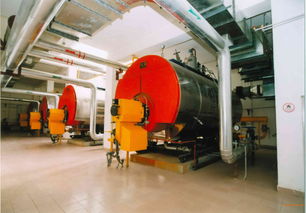 4t6t燃氣熱水鍋爐 小型集中供暖鍋爐,4t6t燃氣熱水鍋爐 小型集中供暖鍋爐生產(chǎn)廠家,4t6t燃氣熱水鍋爐 小型集中供暖鍋爐價格