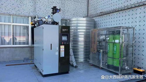 合規(guī)免監(jiān)檢的1噸和2噸燃?xì)庹羝l(fā)生器設(shè)備多少錢(qián)